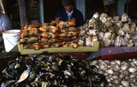 Puerto Montt. Mercado de mariscos